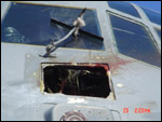 C-130 bird strike