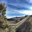 Sunstone Winery