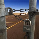 TSA Follies
