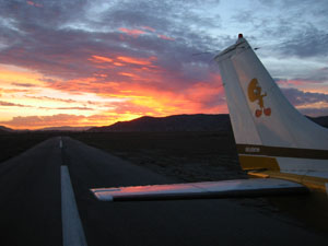 Tweety on the Hemet airport runway at sunset