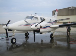 medfly_2008_01