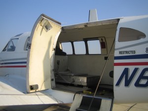 medfly_2008_23